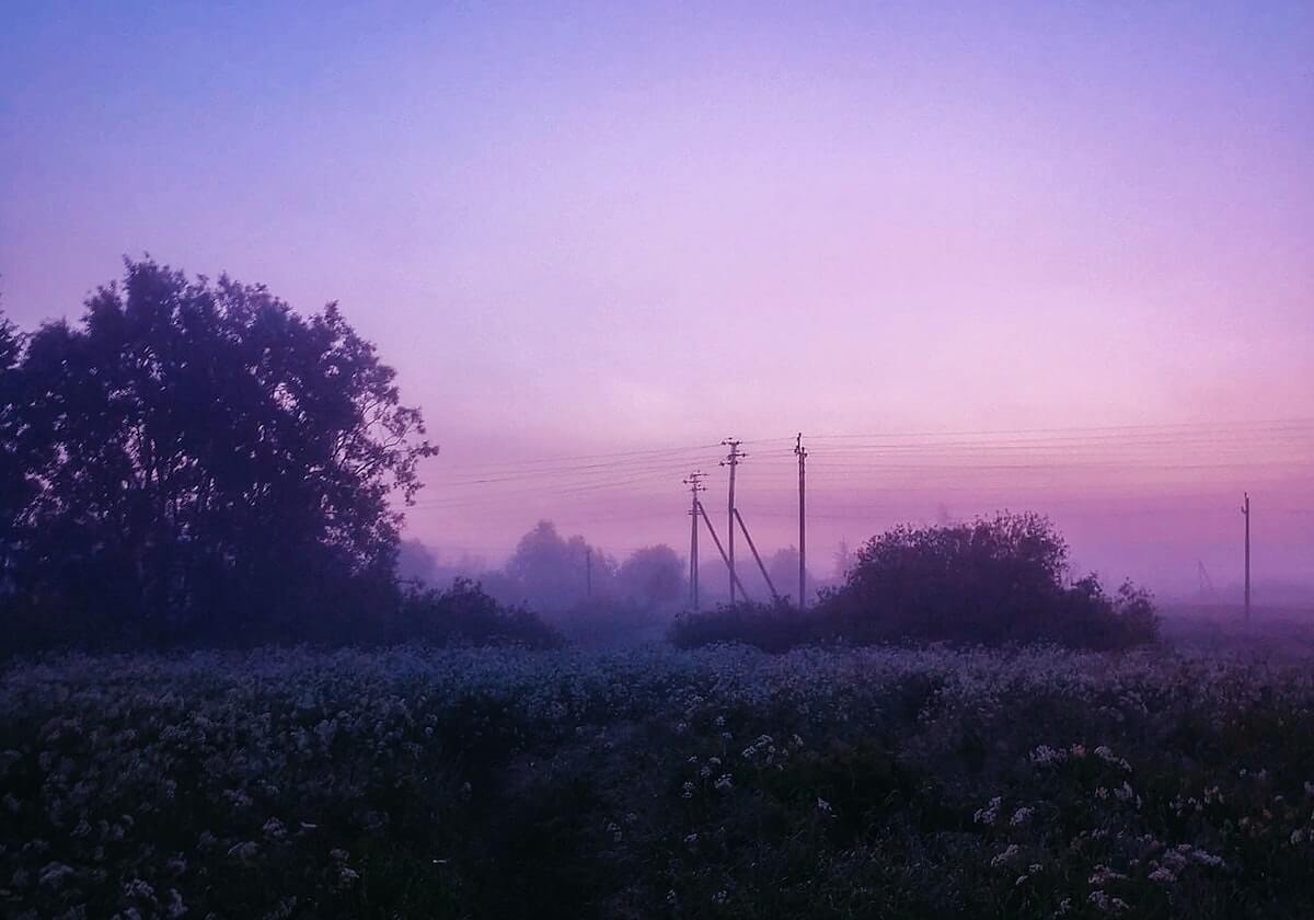 曹赟定:戴伟浚和谢鹏飞不在申花体系里,主教练不需要技术流